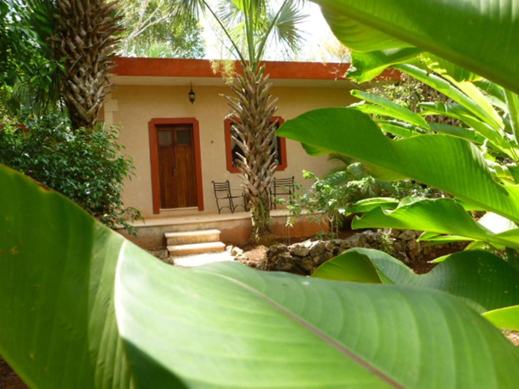 The Flycatcher Inn Retreat Hotel Santa Elena Екстер'єр фото