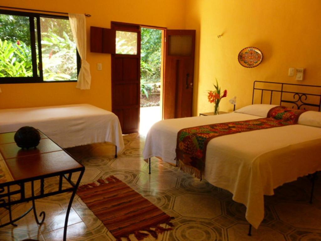 The Flycatcher Inn Retreat Hotel Santa Elena Номер фото