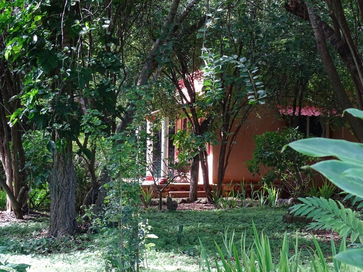 The Flycatcher Inn Retreat Hotel Santa Elena Екстер'єр фото