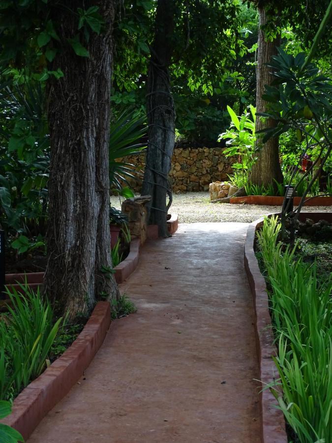 The Flycatcher Inn Retreat Hotel Santa Elena Екстер'єр фото